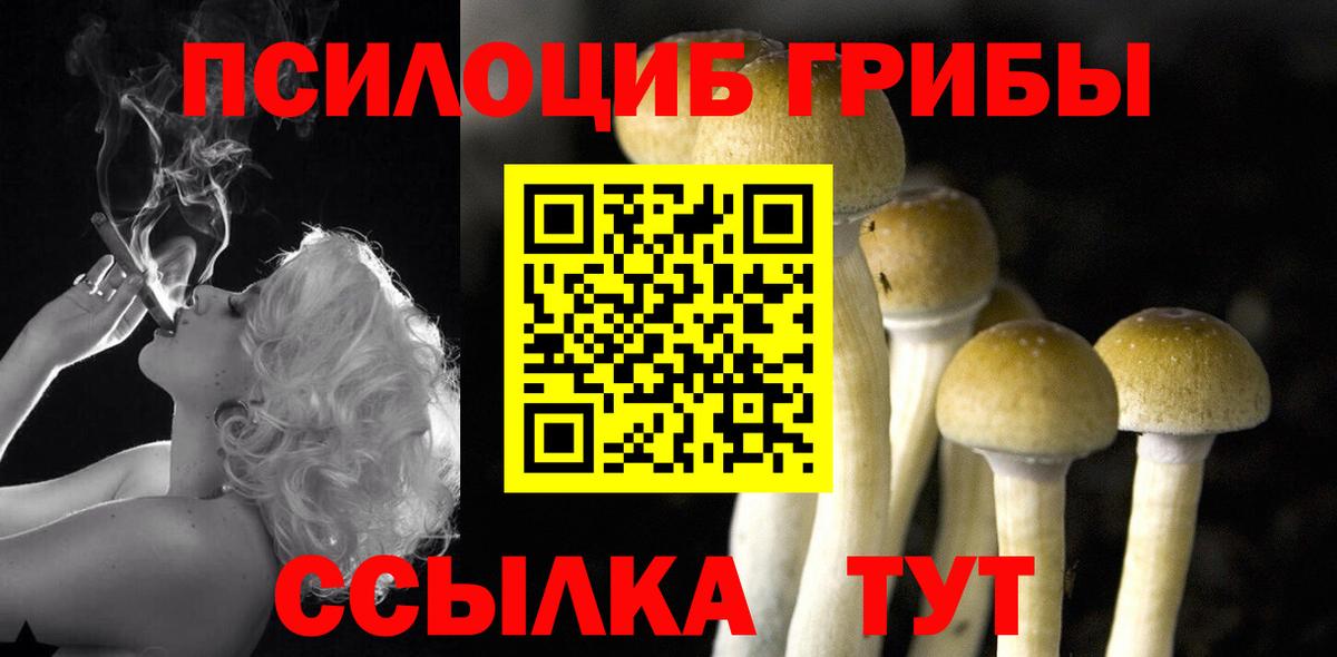 Псилоцибиновые грибы MAGIC MUSHROOMS Самара