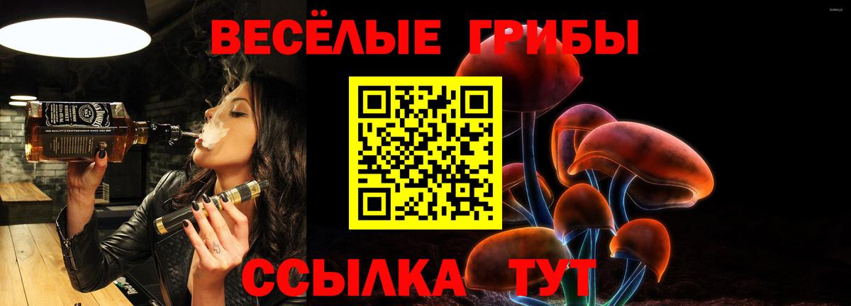 закладка  Вход с VPN  Псилоцибиновые грибы прущие грибы  Самара  Псилоцибиновые грибы мухоморы 